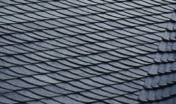 ���������������� ������