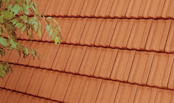 � 20 - ����������� ��������