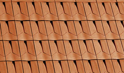 E01 - ������� ��������