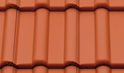 �������������