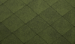 �������� SUPER Foxy