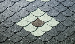 ����� ����� / ����� ������