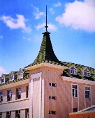 ����������� �������� Roser Spany ������ ���