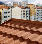 ����������� �������� Roser Spany �������� ���